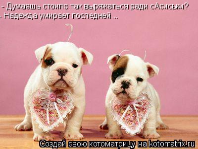 - Думаешь если мы так вырядились нас наконец покормят?! - Думаешь стоило так выряжаться ради сАсиськи... Котоматрица: - Думаешь если мы так вырядились нас наконец покормят?! - Думаешь стоило так выряжаться ради сАсиськи? - Надежда умирает последней...