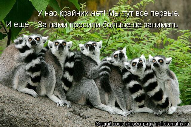 За нами просили больше не занимать У нас крайних нет! Мы тут все первые. И еще... Котоматрица: За нами просили больше не занимать У нас крайних нет! Мы тут все первые. И еще