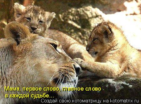 Мама, первое слово, главное слово в каждой судьбе...... Котоматрица: Мама, первое слово, главное слово в каждой судьбе...