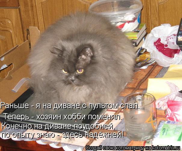 Теперь - хозяин хобби поменял. Раньше - я на диване,с пультом спал. Конечно,на диване поудобней, по о... Котоматрица: Теперь - хозяин хобби поменял. Раньше - я на диване,с пультом спал. Конечно,на диване поудобней, по опыту знаю - здесь надёжней!