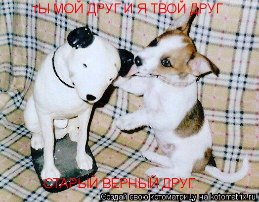тЫ МОЙ ДРУГ И Я ТВОЙ ДРУГ СТАРЫЙ ВЕРНЫЙ ДРУГ... Котоматрица: тЫ МОЙ ДРУГ И Я ТВОЙ ДРУГ СТАРЫЙ ВЕРНЫЙ ДРУГ