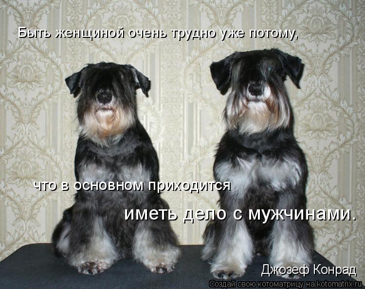 http://kotomatrix.ru/images/lolz/2008/12/12/sf.jpg
