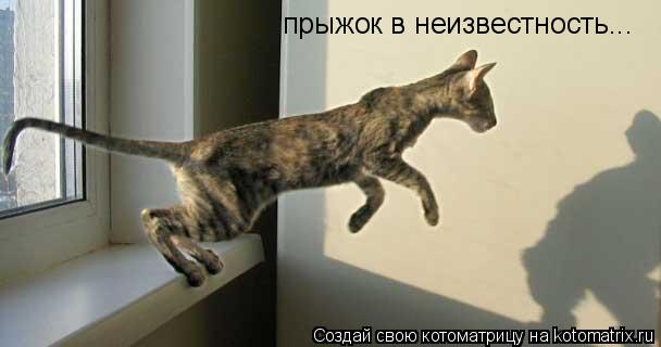 прыжок в неизвестность...... Котоматрица: прыжок в неизвестность...