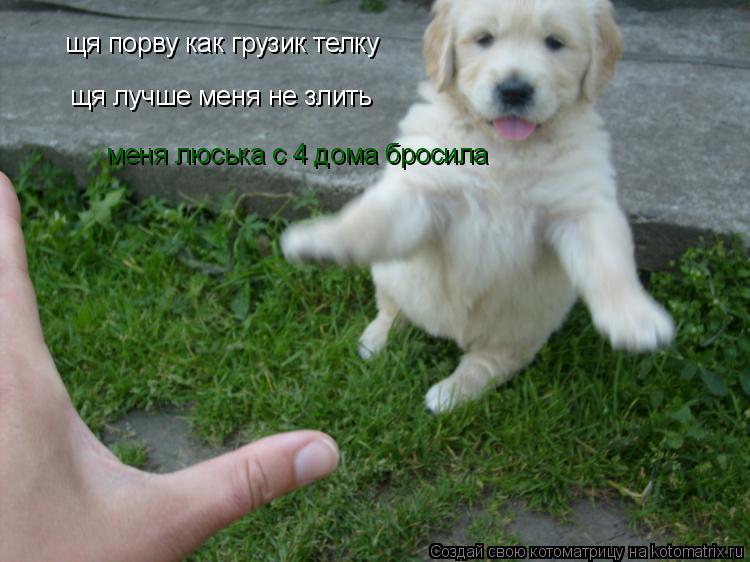 щя порву как грузик телку щя лучше меня не злить меня люська с 4 дома бросила... Котоматрица: щя порву как грузик телку щя лучше меня не злить меня люська с 4 дома бросила