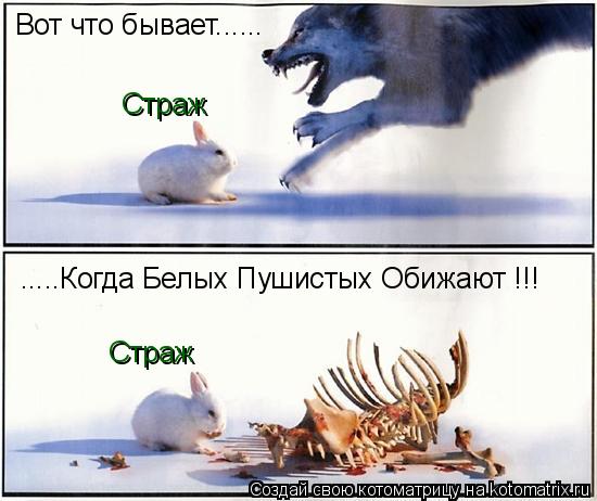 Вот что бывает...... Страж Страж .....Когда Белых Пушистых Обижают !!!... Котоматрица: Вот что бывает...... Страж Страж .....Когда Белых Пушистых Обижают !!!