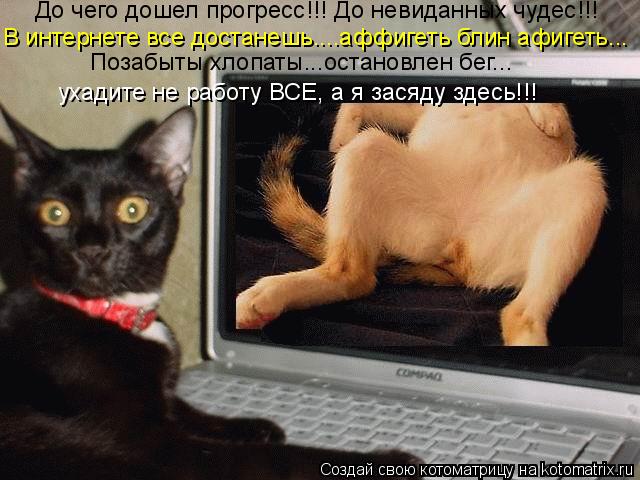 До чего дошел прогресс!!! До невиданных чудес!!! В интернете все достанешь....аффигеть блин афигеть..... Котоматрица: До чего дошел прогресс!!! До невиданных чудес!!! В интернете все достанешь....аффигеть блин афигеть... ухадите не работу ВСЕ, а я засяду здесь!!!