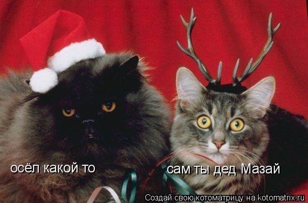 осёл какой то сам ты дед Мазай... Котоматрица: осёл какой то сам ты дед Мазай