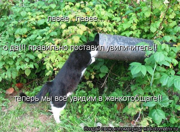 левее...левее... о да!!! правильно поставил увиличитель!! теперь мы всё увидим в женкотобщаге!!... Котоматрица: левее...левее... о да!!! правильно поставил увиличитель!! теперь мы всё увидим в женкотобщаге!!