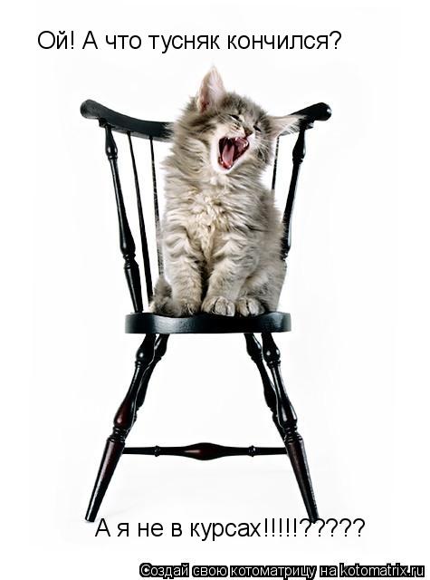 Ой! А что тусняк кончился? А я не в курсах!!!!!?????... Котоматрица: Ой! А что тусняк кончился? А я не в курсах!!!!!?????