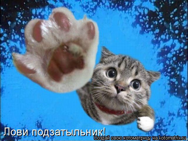 Лови подзатыльник!... Котоматрица: Лови подзатыльник!