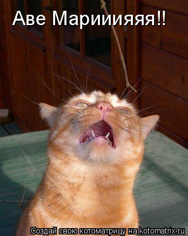 Аве Марииияяя!!... Котоматрица: Аве Марииияяя!!