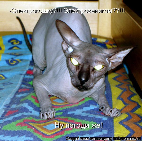 -Электрокошку?!!! Электровеником??!!! Ну погоди же!... Котоматрица: -Электрокошку?!!! Электровеником??!!! Ну погоди же!