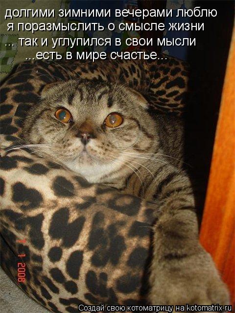 долгими зимними вечерами люблю я поразмыслить о смысле жизни ... так и углупился в свои мысли ...есть... Котоматрица: долгими зимними вечерами люблю я поразмыслить о смысле жизни ... так и углупился в свои мысли ...есть в мире счастье...