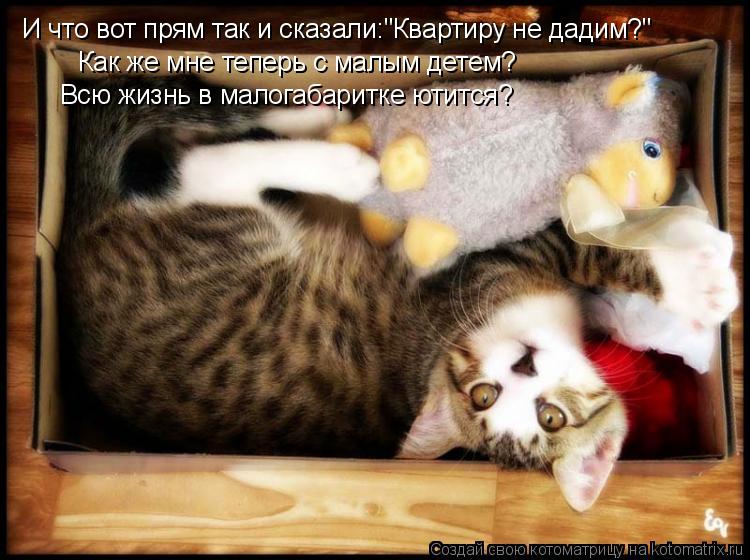 И что вот прям так и сказали:"Квартиру не дадим?" Как же мне теперь с малым детем? Всю жизнь в малог... Котоматрица: И что вот прям так и сказали:"Квартиру не дадим?" Как же мне теперь с малым детем? Всю жизнь в малогабаритке ютится?