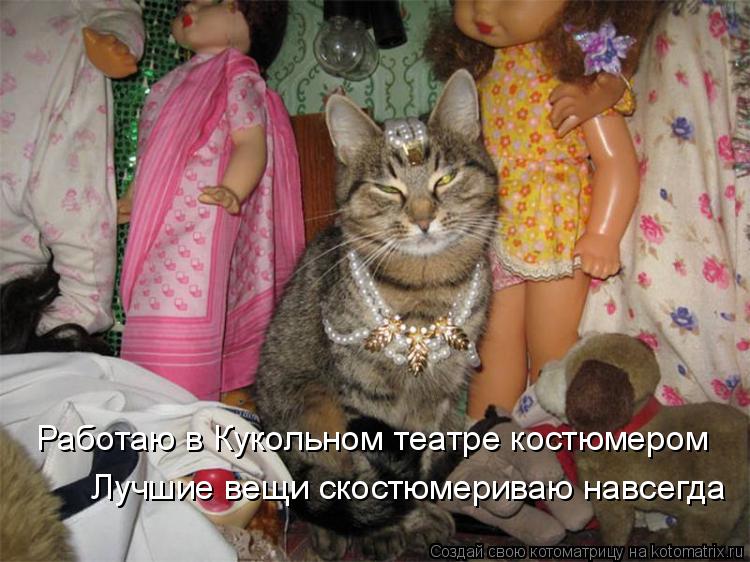 Работаю в Кукольном театре костюмером Лучшие вещи скостюмериваю навсегда... Котоматрица: Работаю в Кукольном театре костюмером Лучшие вещи скостюмериваю навсегда
