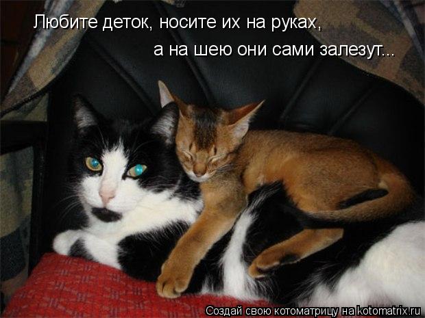 Котоматрица: Любите деток, носите их на руках, а на шею они сами залезут...