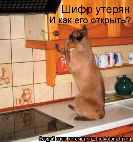 И как его открыть? Шифр утерян... Котоматрица: И как его открыть? Шифр утерян