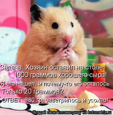 Котоматрица: Задача: Хозяин оставил на столе 1000 граммов хорошего сыра! Я его нашел, и почему-то его осталось Только 20 граммов?  ОТВЕТ: 980 гр. заветрилось и у