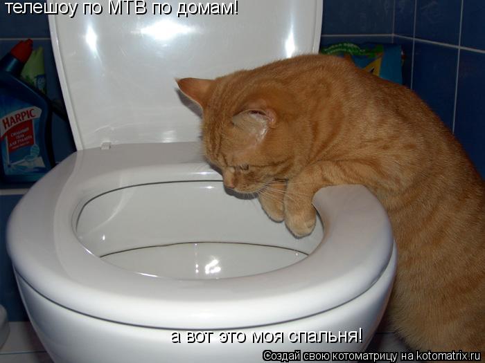 телешоу по МТВ по домам! а вот это моя спальня!... Котоматрица: телешоу по МТВ по домам! а вот это моя спальня!
