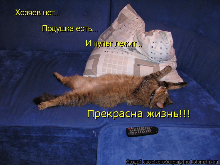 Хозяев нет... Подушка есть... И пульт лежит... Прекрасна жизнь!!!... Котоматрица: Хозяев нет... Подушка есть... И пульт лежит... Прекрасна жизнь!!!