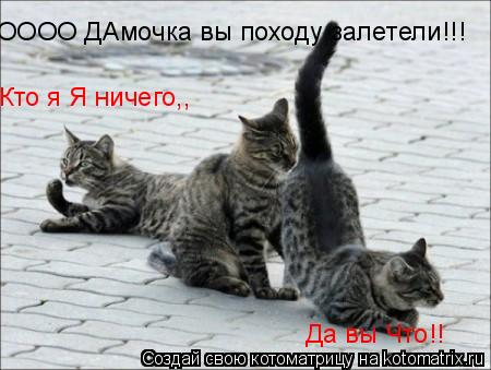 ОООО ДАмочка вы походу залетели!!! Да вы Что!! Кто я Я ничего,,... Котоматрица: ОООО ДАмочка вы походу залетели!!! Да вы Что!! Кто я Я ничего,,