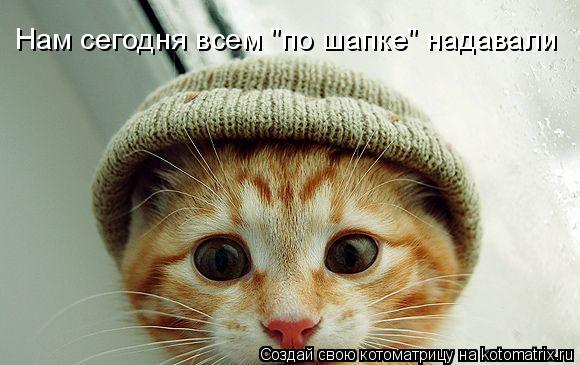Нам сегодня всем "по шапке" надавали... Котоматрица: Нам сегодня всем "по шапке" надавали