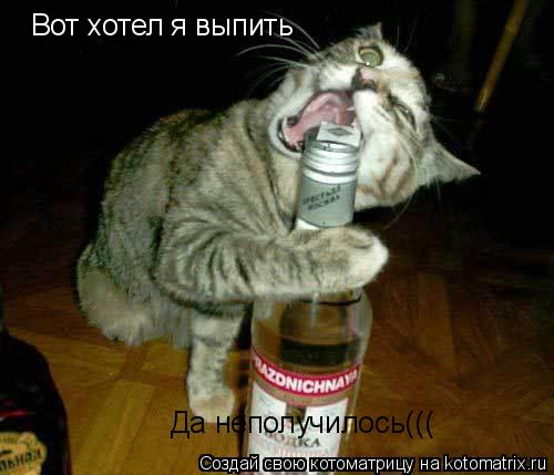 Вот хотел я выпить Да неполучилось(((... Котоматрица: Вот хотел я выпить Да неполучилось(((