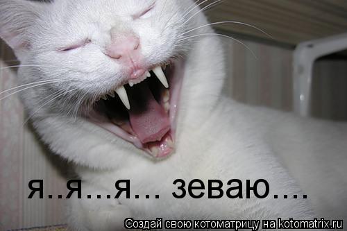 я..я...я... зеваю....... Котоматрица: я..я...я... зеваю....