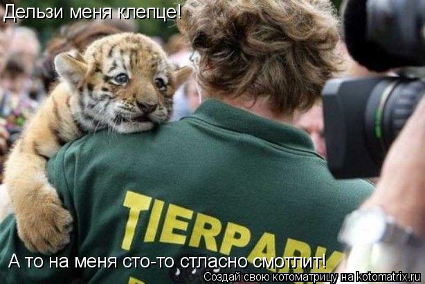 Дельзи меня клепце! А то на меня сто-то стласно смотлит!... Котоматрица: Дельзи меня клепце! А то на меня сто-то стласно смотлит!