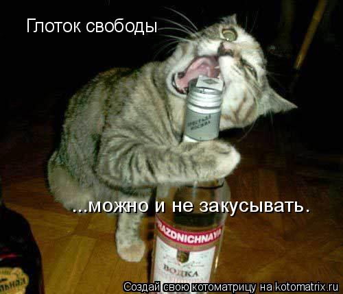 Глоток свободы ...можно и не закусывать.... Котоматрица: Глоток свободы ...можно и не закусывать.