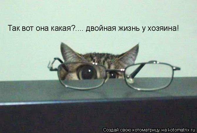 Так вот она какая?.... двойная жизнь у хозяина!... Котоматрица: Так вот она какая?.... двойная жизнь у хозяина!
