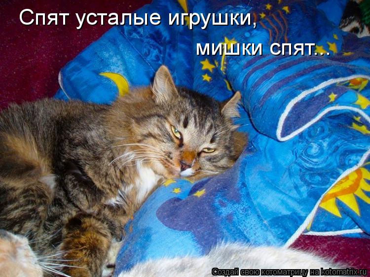 Спят усталые игрушки, мишки спят...... Котоматрица: Спят усталые игрушки, мишки спят...