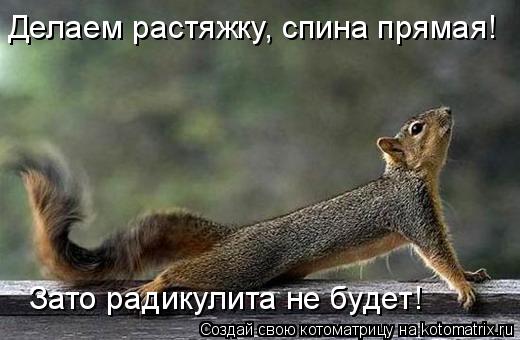 Делаем растяжку, спина прямая! Зато радикулита не будет!... Котоматрица: Делаем растяжку, спина прямая! Зато радикулита не будет!