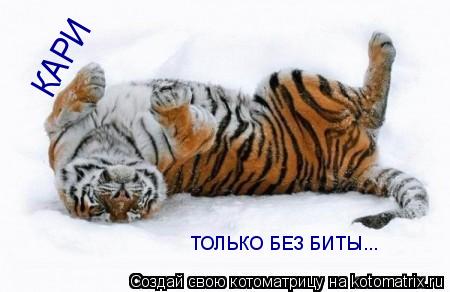 КАРИ ТОЛЬКО БЕЗ БИТЫ...... Котоматрица: КАРИ ТОЛЬКО БЕЗ БИТЫ...