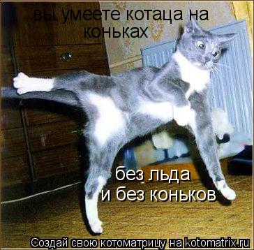 вы умеете котаца на коньках без льда и без коньков... Котоматрица: вы умеете котаца на коньках без льда и без коньков