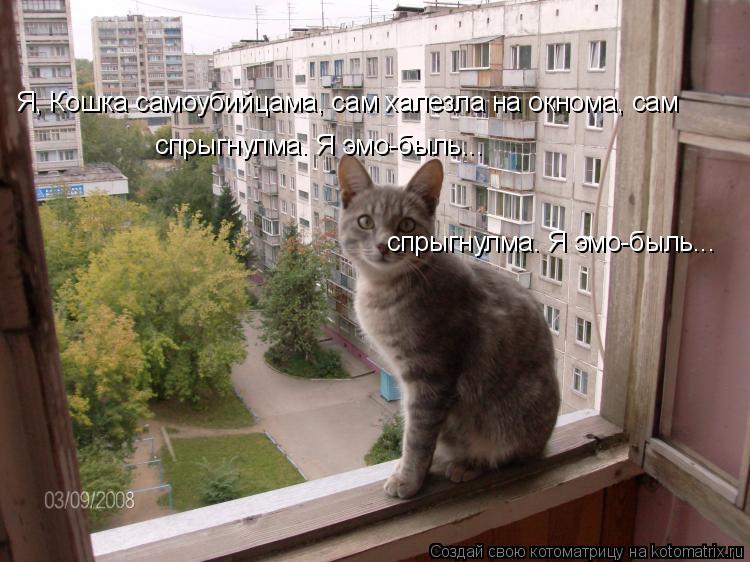 Я, Кошка самоубийцама, сам халезла на окнома, сам спрыгнулма. Я эмо-быль... спрыгнулма. Я эмо-быль...... Котоматрица: Я, Кошка самоубийцама, сам халезла на окнома, сам спрыгнулма. Я эмо-быль... спрыгнулма. Я эмо-быль...