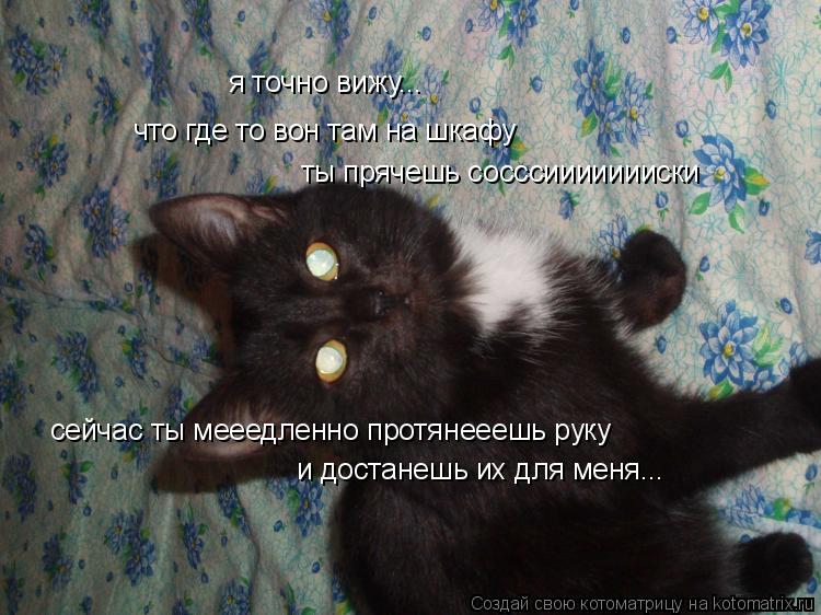 я точно вижу... что где то вон там на шкафу ты прячешь сосссиииииииски сейчас ты мееедленно протянеее... Котоматрица: я точно вижу... что где то вон там на шкафу ты прячешь сосссиииииииски сейчас ты мееедленно протянееешь руку и достанешь их для меня...