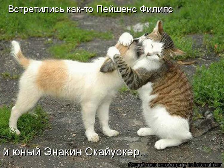 Встретились как-то Пейшенс Филипс и юный Энакин Скайуокер...... Котоматрица: Встретились как-то Пейшенс Филипс и юный Энакин Скайуокер...