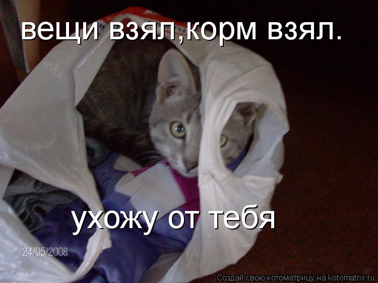 вещи взял,корм взял. ухожу от тебя... Котоматрица: вещи взял,корм взял. ухожу от тебя