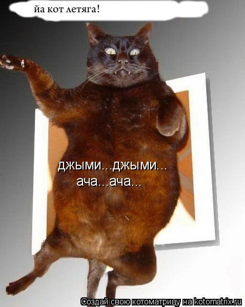 джыми...джыми... ача...ача...... Котоматрица: джыми...джыми... ача...ача...