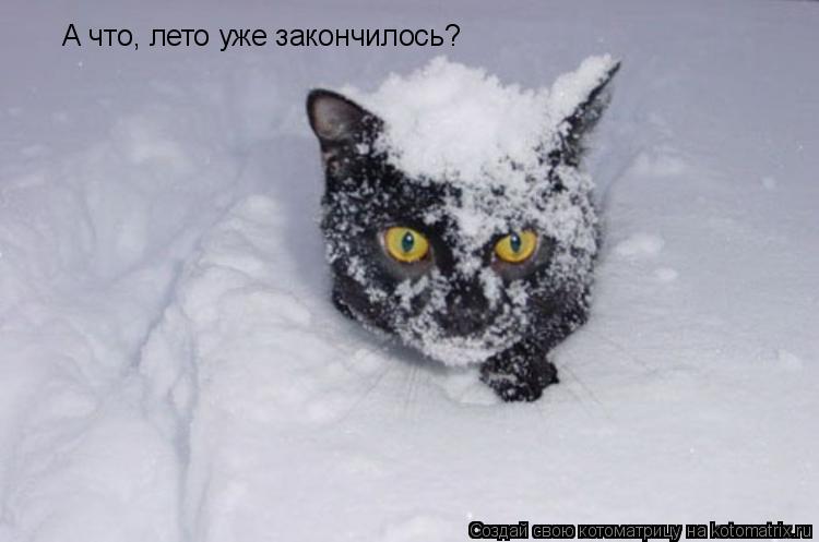 А что, лето уже закончилось?... Котоматрица: А что, лето уже закончилось?