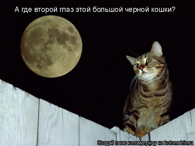 А где второй глаз этой большой черной кошки?... Котоматрица: А где второй глаз этой большой черной кошки?