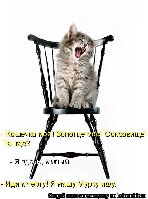 - Кошечка моя! Золотце мое! Сокровище! Ты где? Ты где? - Я здесь, милый. - Иди к черту! Я нашу Мурку ... Котоматрица: - Кошечка моя! Золотце мое! Сокровище! Ты где? Ты где? - Я здесь, милый. - Иди к черту! Я нашу Мурку ищу.