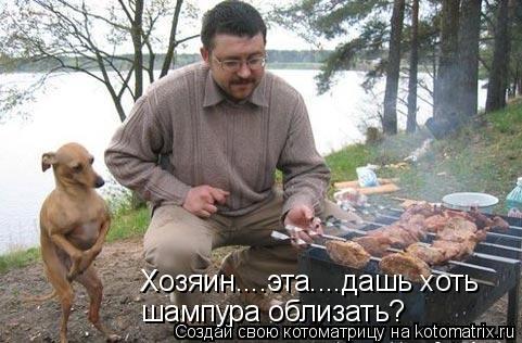 Хозяин....эта....дашь хоть шампура облизать?... Котоматрица: Хозяин....эта....дашь хоть шампура облизать?