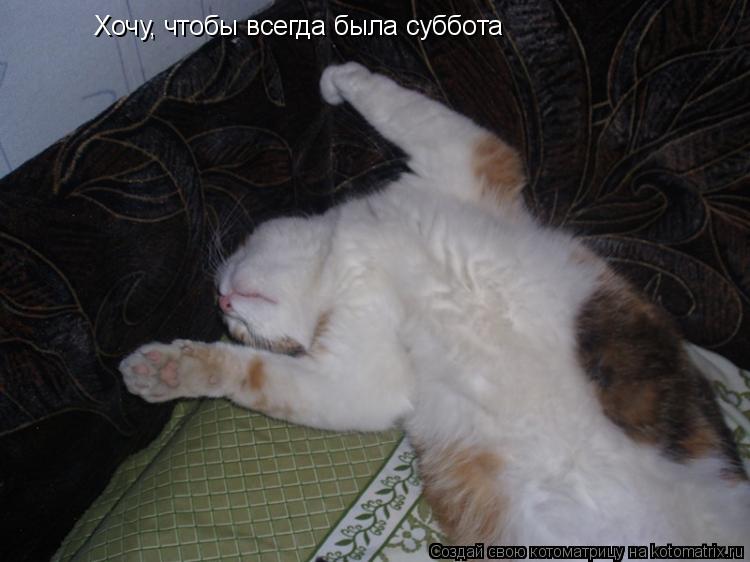 Хочу, чтобы всегда была суббота... Котоматрица: Хочу, чтобы всегда была суббота
