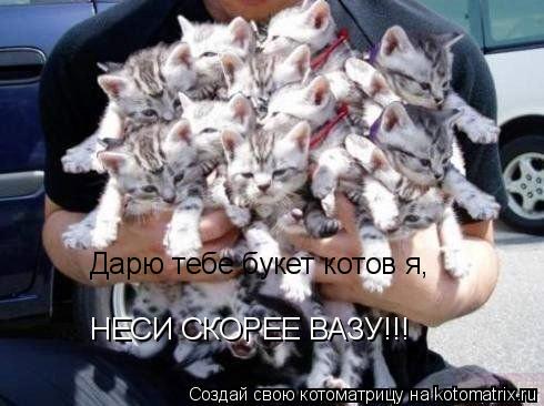 Дарю тебе букет котов я, НЕСИ СКОРЕЕ ВАЗУ!!!... Котоматрица: Дарю тебе букет котов я, НЕСИ СКОРЕЕ ВАЗУ!!!