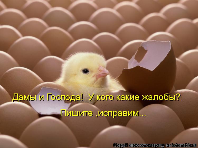 Дамы и Господа! У кого какие жалобы? Пишите ,исправим...... Котоматрица: Дамы и Господа! У кого какие жалобы? Пишите ,исправим...