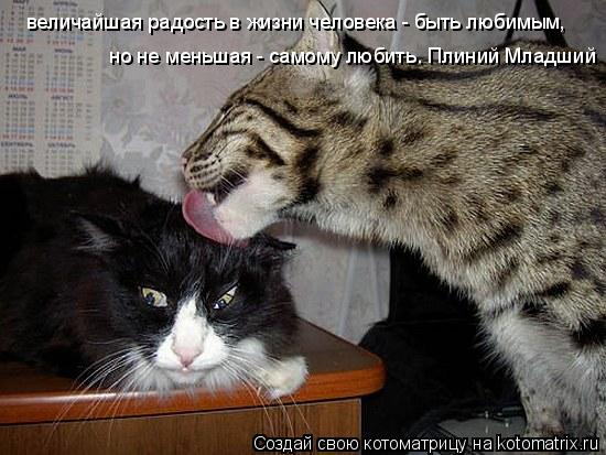 величайшая радость в жизни человека - быть любимым, но не меньшая - самому любить. Плиний Младший... Котоматрица: величайшая радость в жизни человека - быть любимым, но не меньшая - самому любить. Плиний Младший
