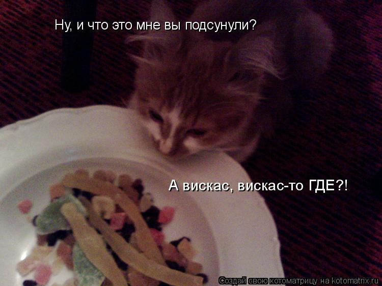 Ну, и что это мне вы подсунули? А вискас, вискас-то ГДЕ?!... Котоматрица: Ну, и что это мне вы подсунули? А вискас, вискас-то ГДЕ?!