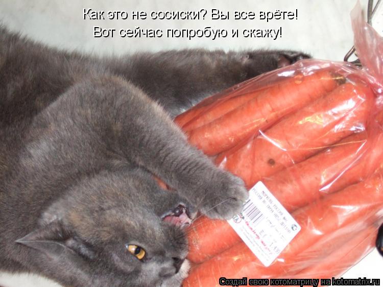 Как это не сосиски? Вы все врёте! Вот сейчас попробую и скажу!... Котоматрица: Как это не сосиски? Вы все врёте! Вот сейчас попробую и скажу!